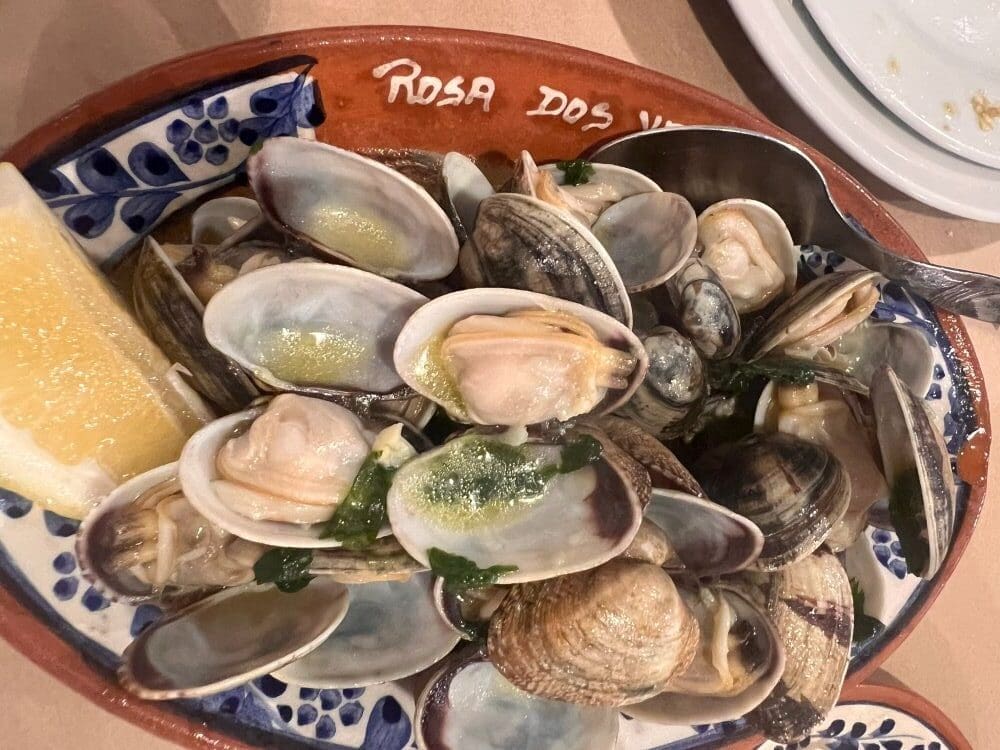 portuguese clams appetizer nazare seafood