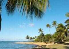 Golden sand and calm water at Poipu Beach on Kauai's south shore, framed by coconut palms.